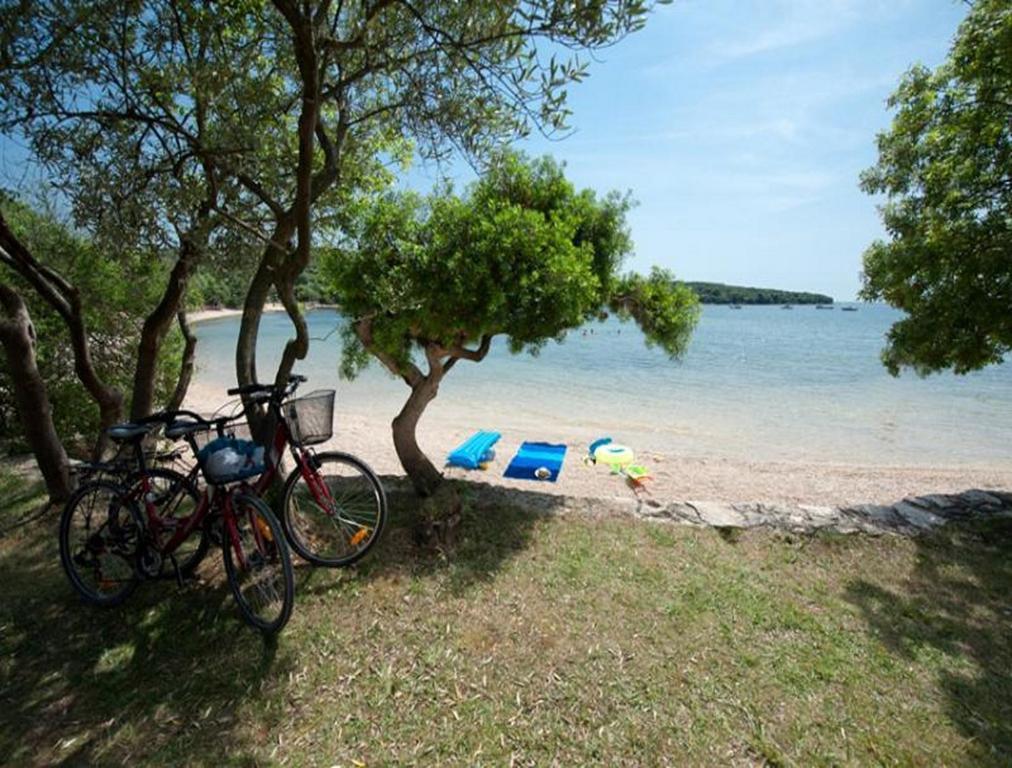 Apartmán Casa Leona Rovinj Exteriér fotografie